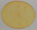 sliced tuber