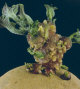 Sprout