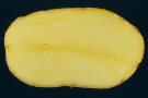 Sliced tuber