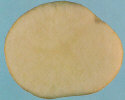 Sliced tuber