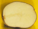 Tubercule tranché