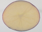 Tubercule tranché