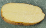 Sliced tuber