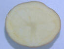 Sliced tuber