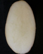 Tubercule tranché