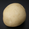 Tuber