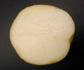 Sliced tuber