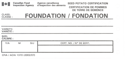image - Foundation Tag. Description follows.