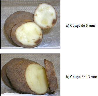 35 | Comptabilisation de l'altération de la couleur du talon. Description ci-dessous.