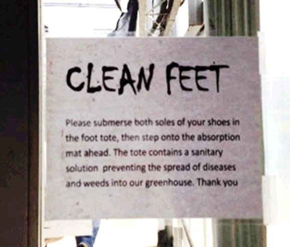 Une photo d'une affiche sur une porte en verre. Description ci-dessous.