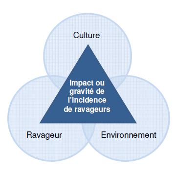 Figure 1 : Triangle des phytoravageurs. Description ci-dessous.