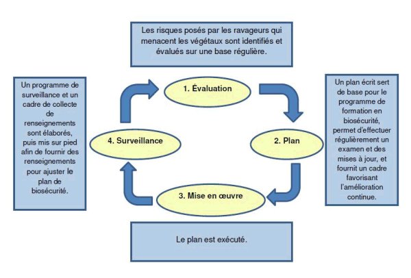 Figure 2 : Cycle des activités de biosécurité. Description ci-dessous.