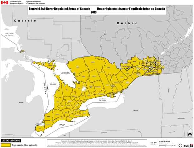 Option 1 : Agrandissement des régions réglementées pour y inclure des couloirs à risque élevé et représenter de façon plus exacte la répartition attendue de l'organisme nuisible