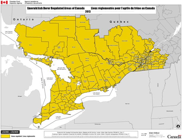 Option 2 : Agrandissement de la région réglementée pour y inclure toutes les régions actuellement réglementées et des zones tampons