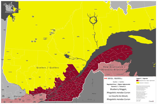 Figure 2 : La province du Québec en entier serait réglementée à l'égard de la mouche du bleuet dans le cadre de l'option 1.