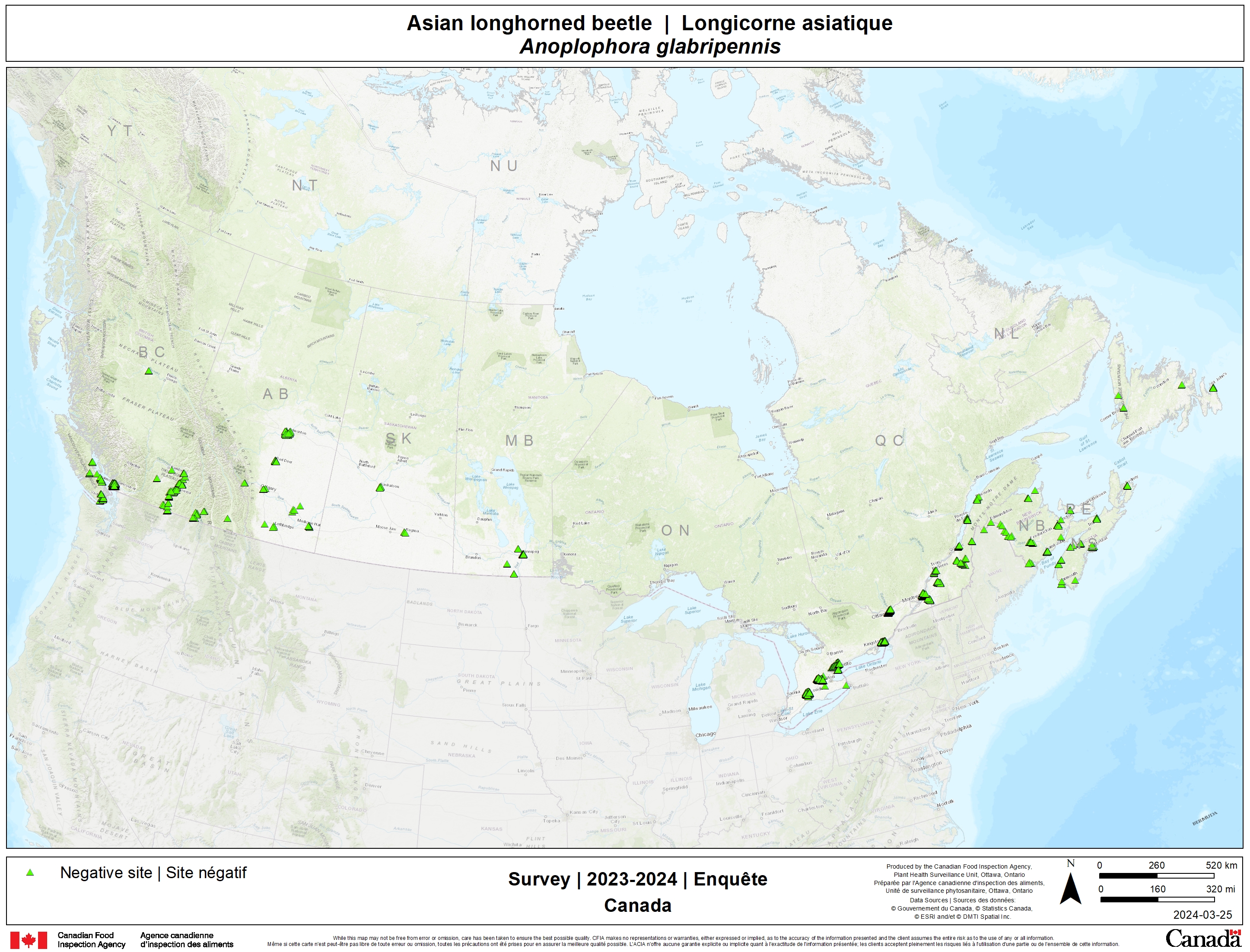 2023 Asian longhorned beetle survey results. Description follows.