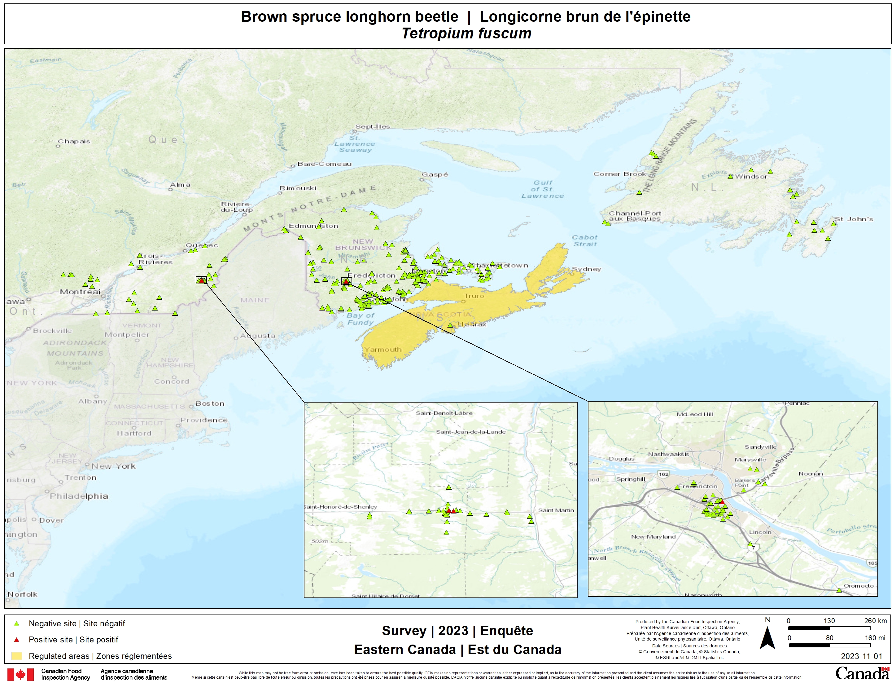 2023 brown spruce longhorn beetle survey results. Description follows.