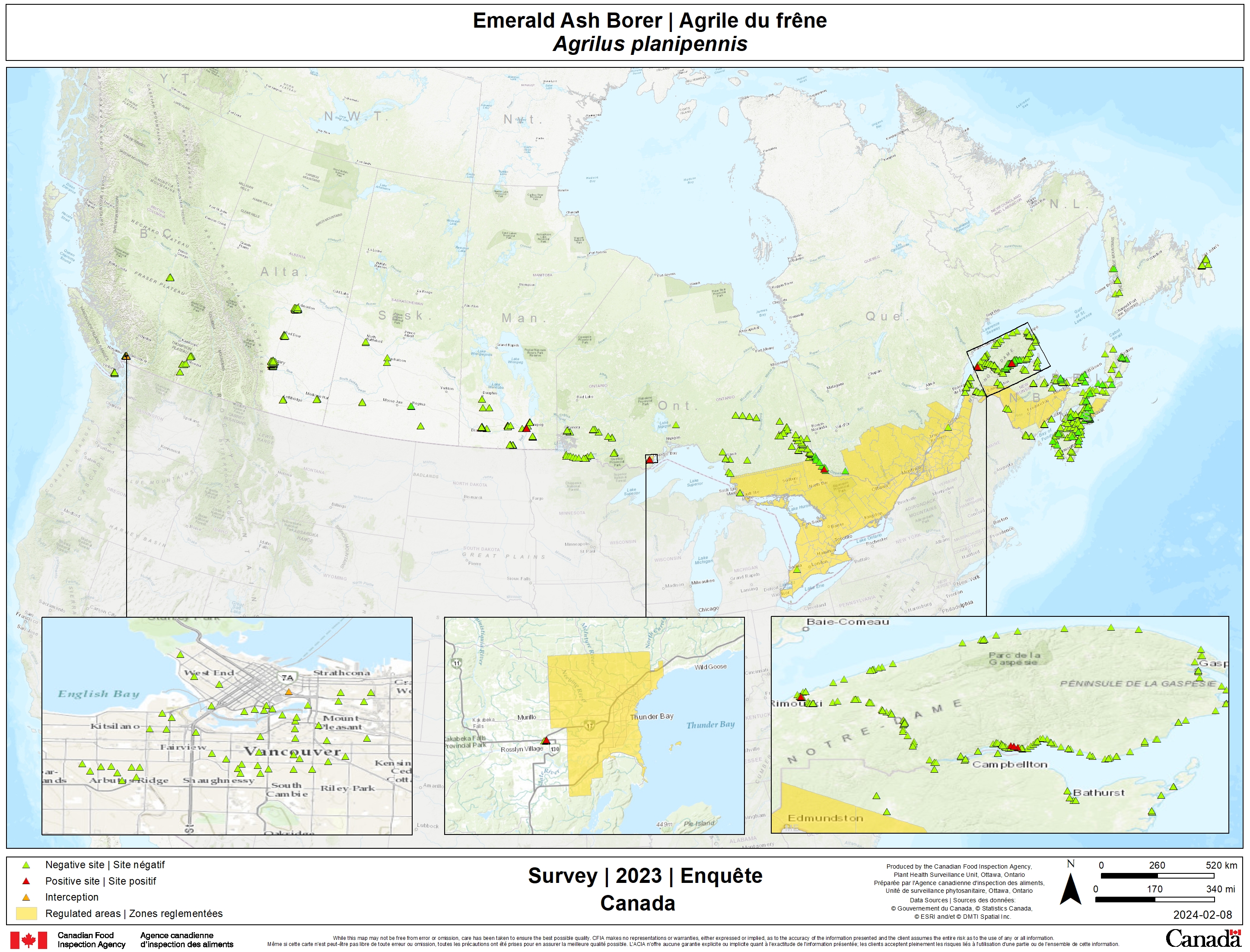 2023 emerald ash borer survey results. Description follows.