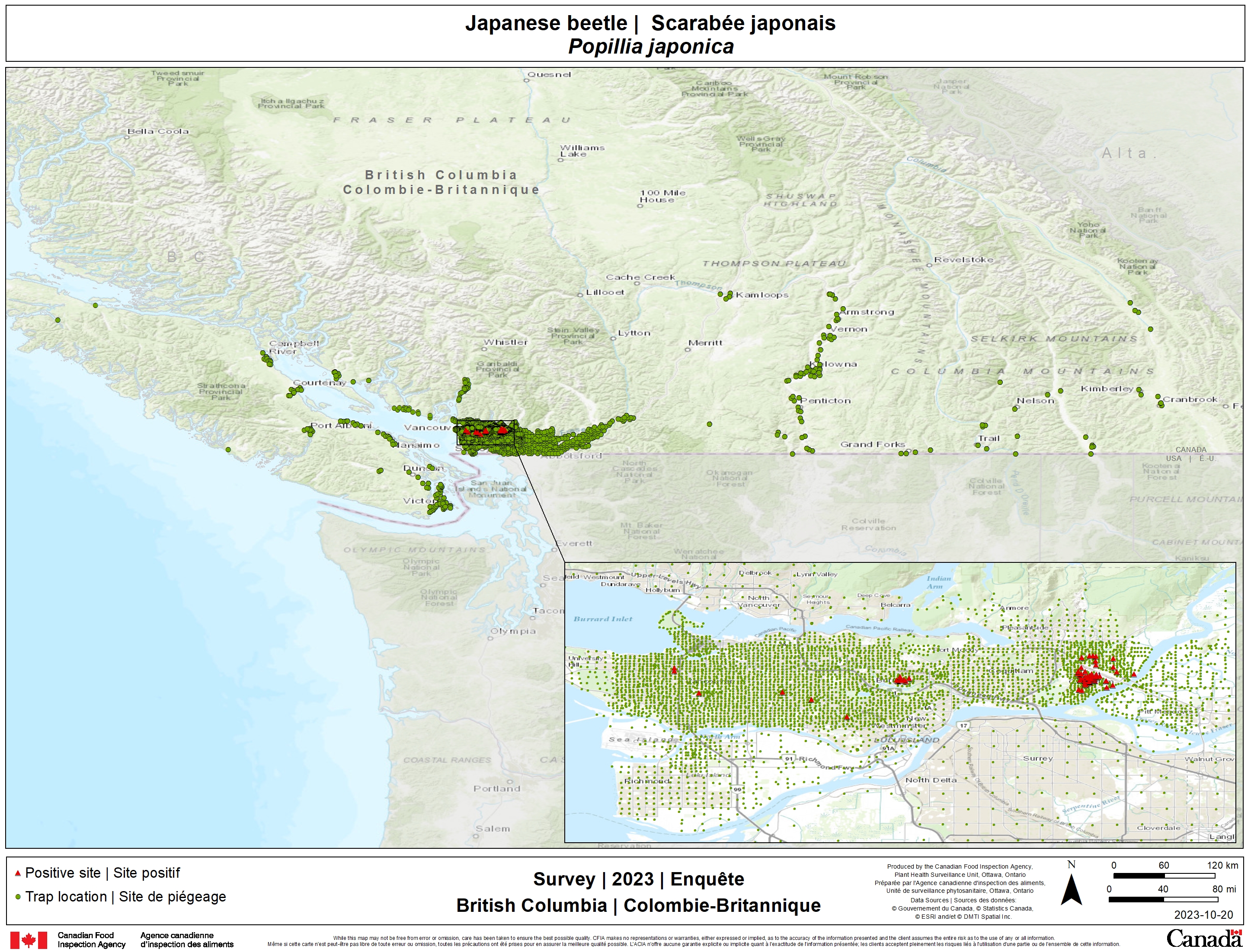 2023 Japanese Beetle survey results. Description follows.