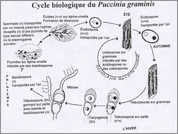 Figure 1. Description ci-dessous.