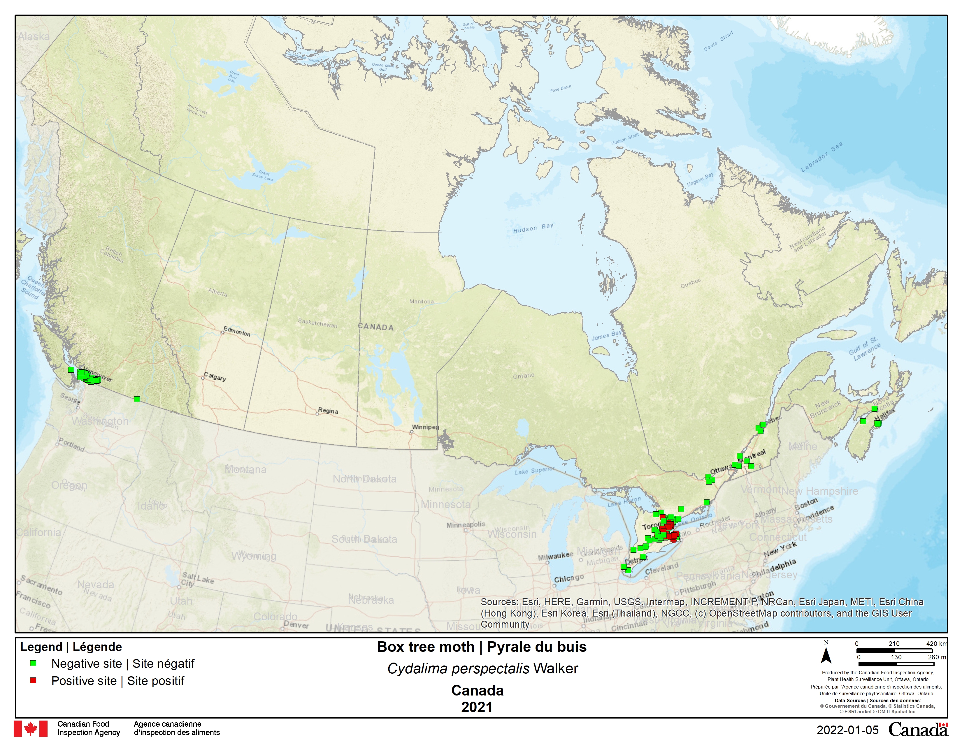 Résultats de l'enquête de 2021 sur la pyrale du buis pour le Canada. Description ci-dessous.