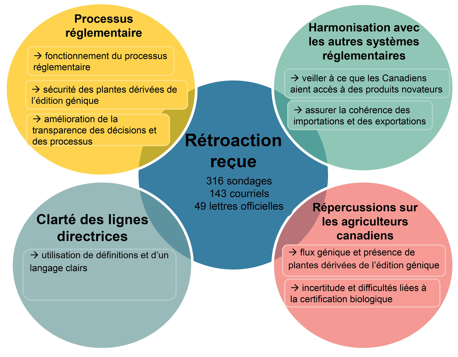 Figure 1 - Diagramme des principaux thèmes de la rétroaction et des préoccupations ou des commentaires communs connexes. Description ci-dessous.