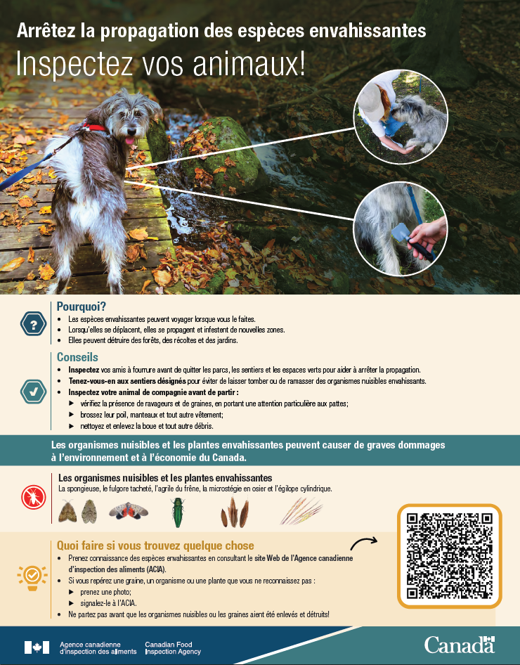 Inspectez vos animaux pour des espèces envahissantes