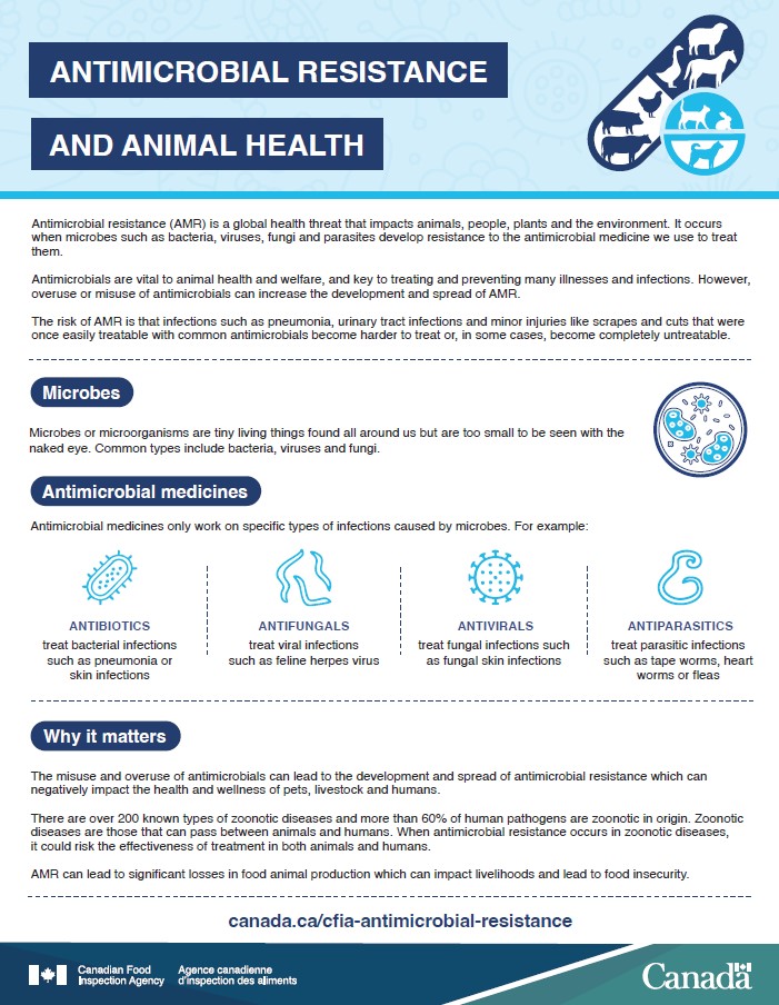 Antimicrobial resistance and animal health