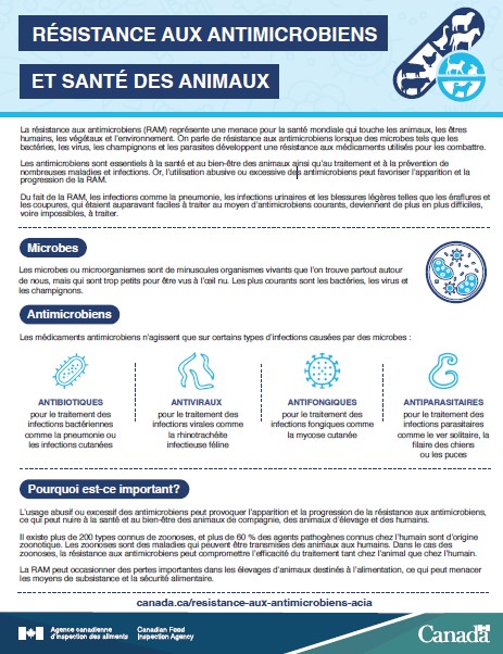 Résistance aux antimicrobiens et santé des animaux