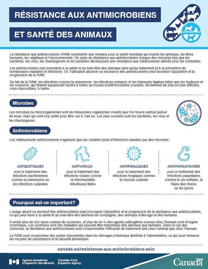 Résistance aux antimicrobiens et santé des animaux. Description ci-dessous.