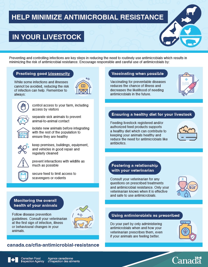 Infographic description – Help minimize antimicrobial resistance in your livestock. Description follows.