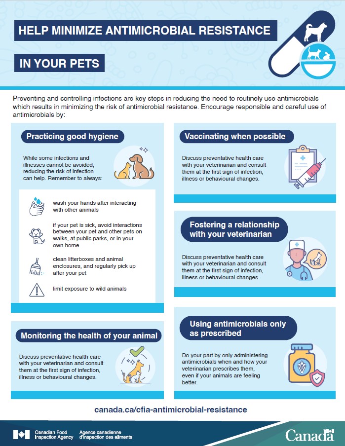 Help minimize antimicrobial resistance in your pets