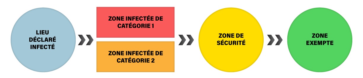 Schéma illustrant les différentes étapes : lieu déclaré infecté; zone infectée de catégorie 1 ou de catégorie 2; zone de sécurité, zone exempte de maladie.