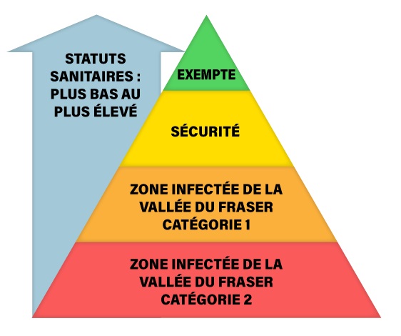 Diagramme pyramidal des différents statuts sanitaires. Du plus bas au plus élevé : zone de la vallée du Fraser de catégorie 1 (zones 3 à 7), zone de la vallée du Fraser de catégorie 2 (zones 1, 2 et 8 à 11), zone de sécurité, zone exempte.