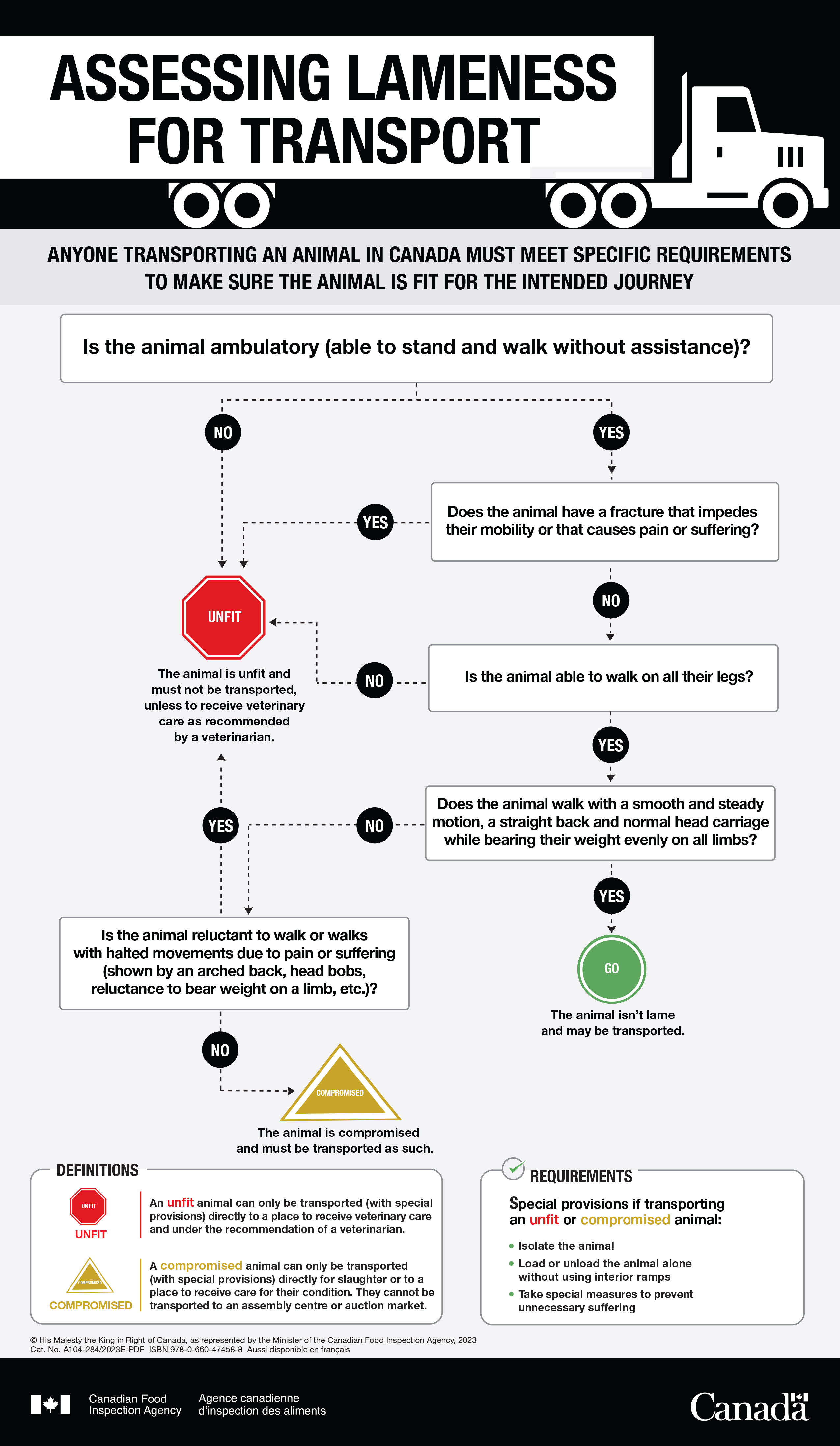 Assessing lameness for transport - description follows