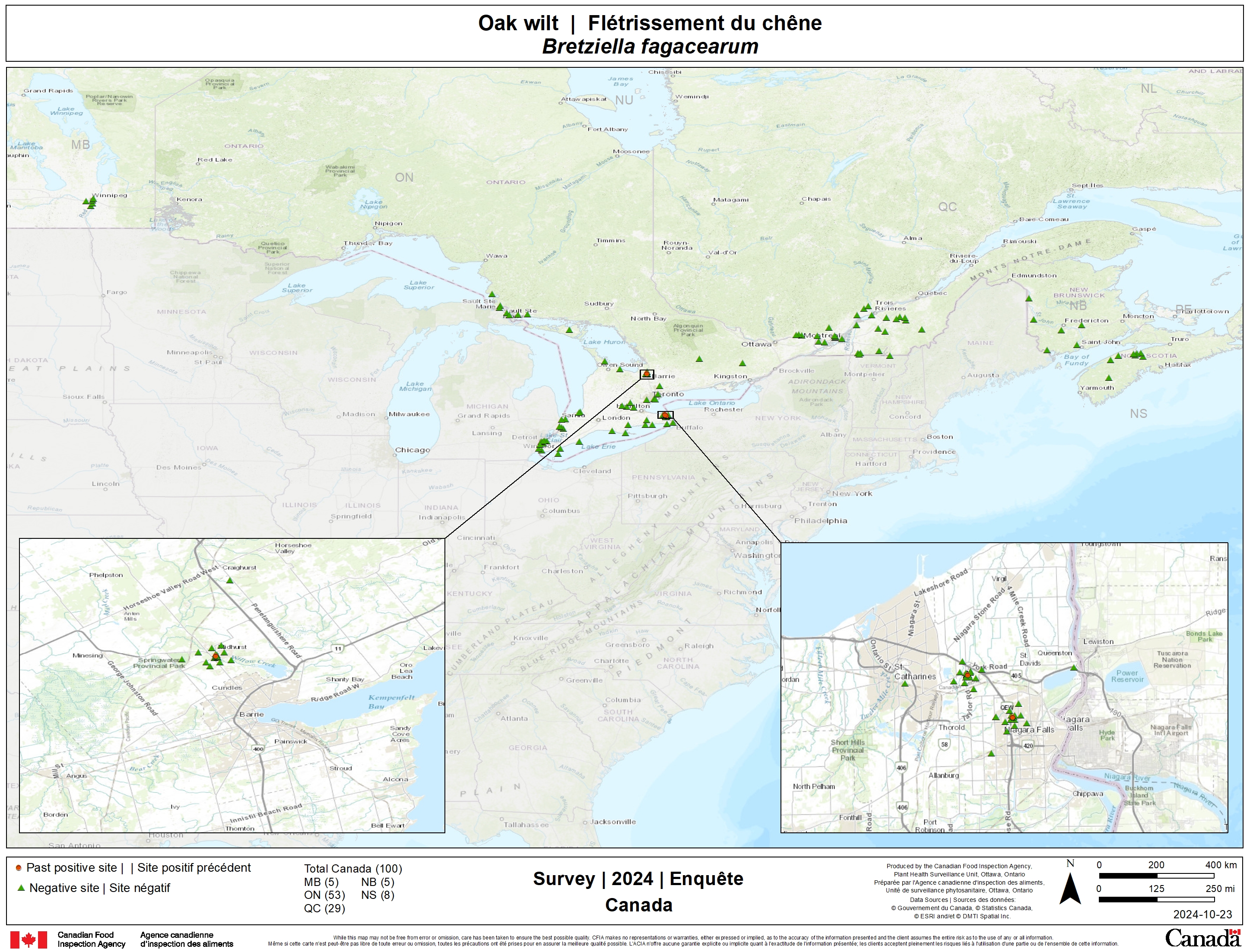 Résultats du sondage 2024 de Flétrissement du chêne. Description ci-dessous.