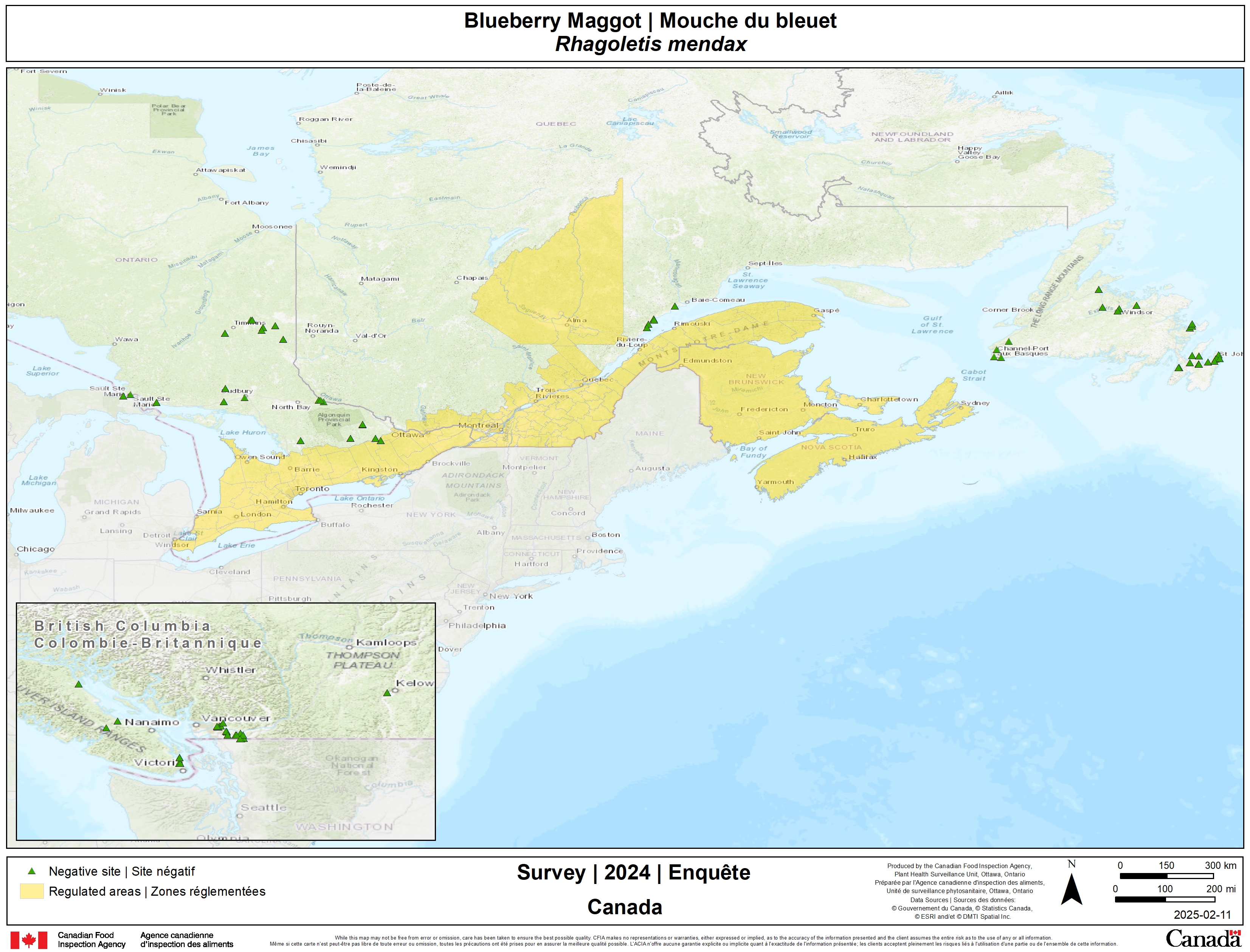 2025 Blueberry maggot survey results. Description follows.