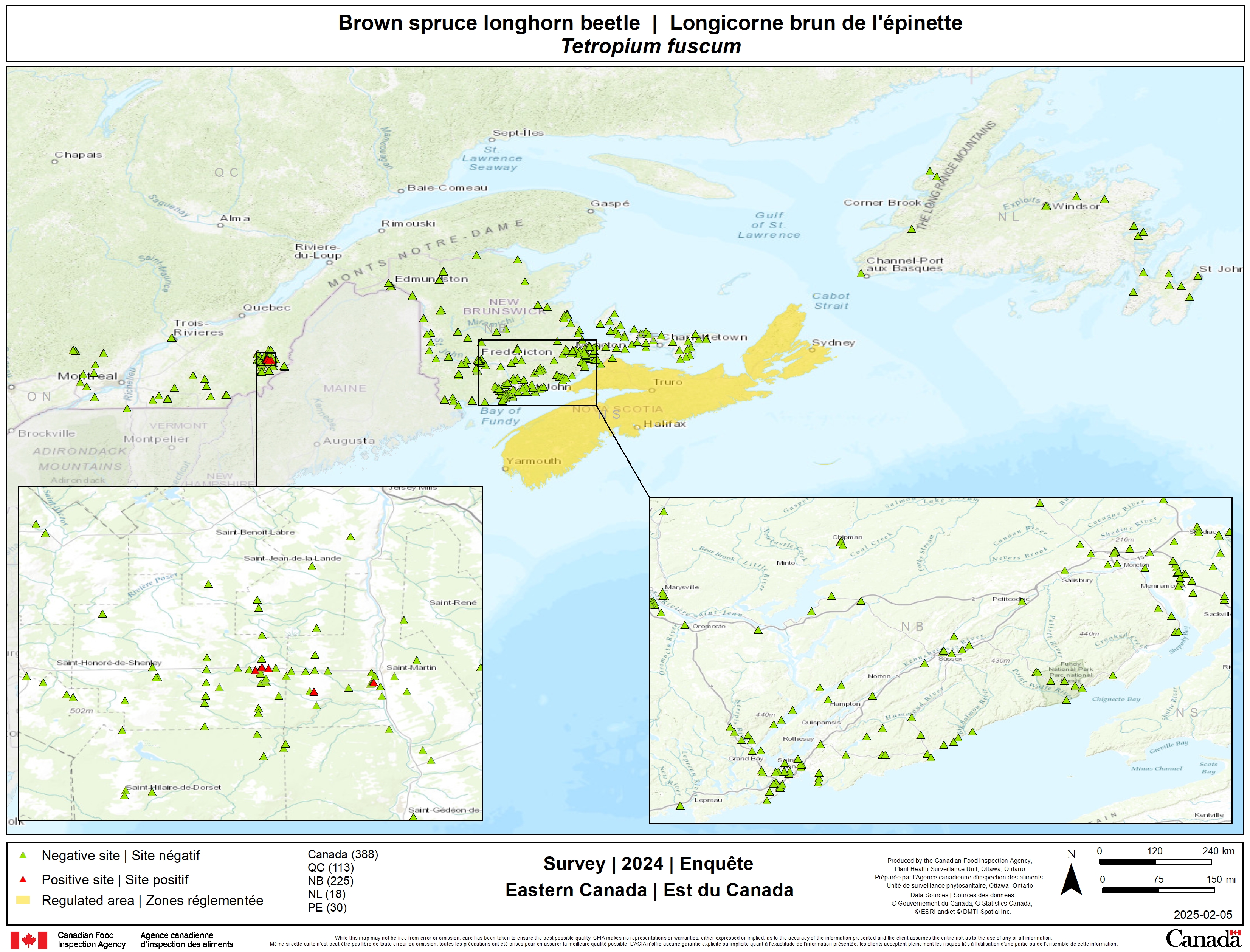 2025 Brown spruce longhorn beetle survey results. Description follows.
