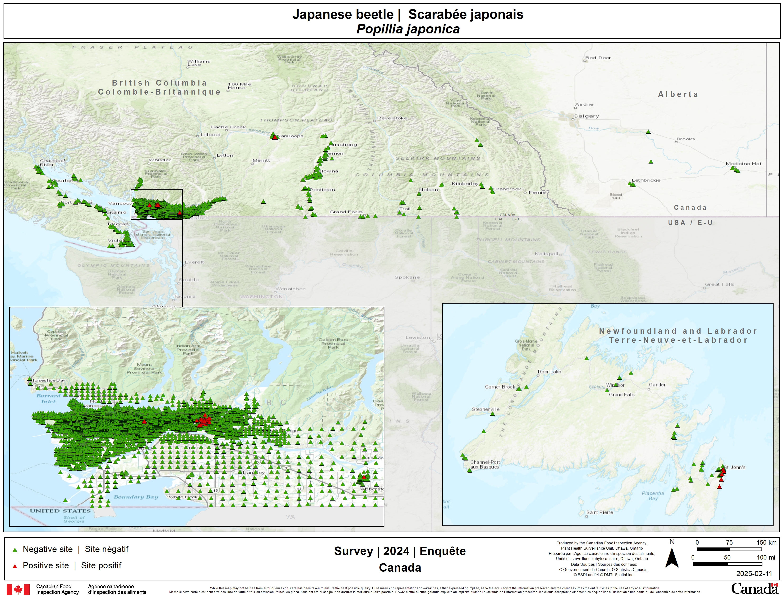 2025 Japanese beetle survey results. Description follows.