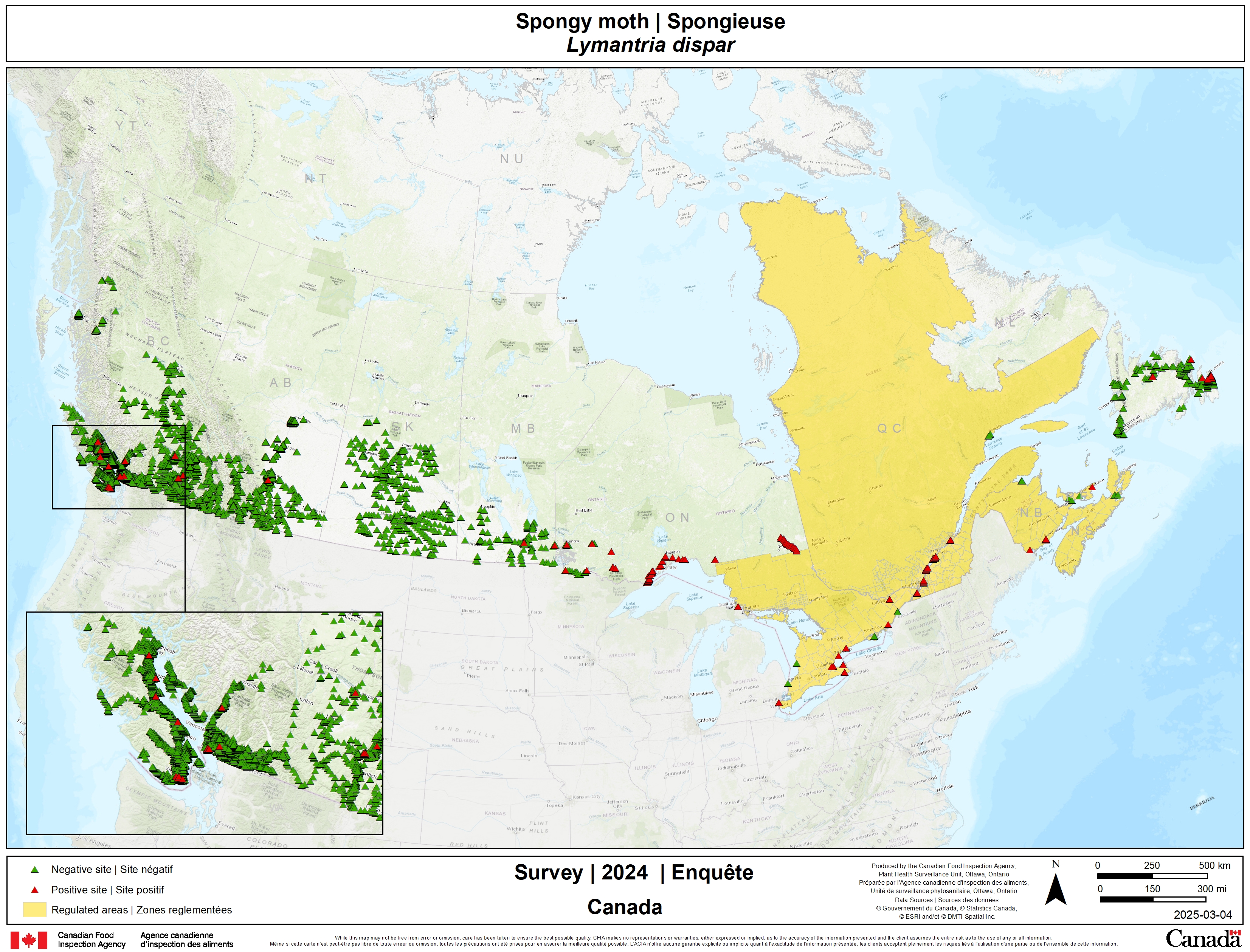 2025 Spongy moth and flighted spongy moth complex survey results. Description follows.
