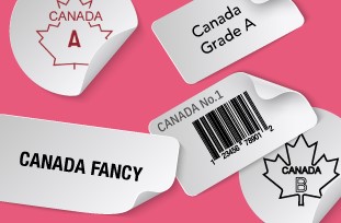 Illustration of various grade labels
