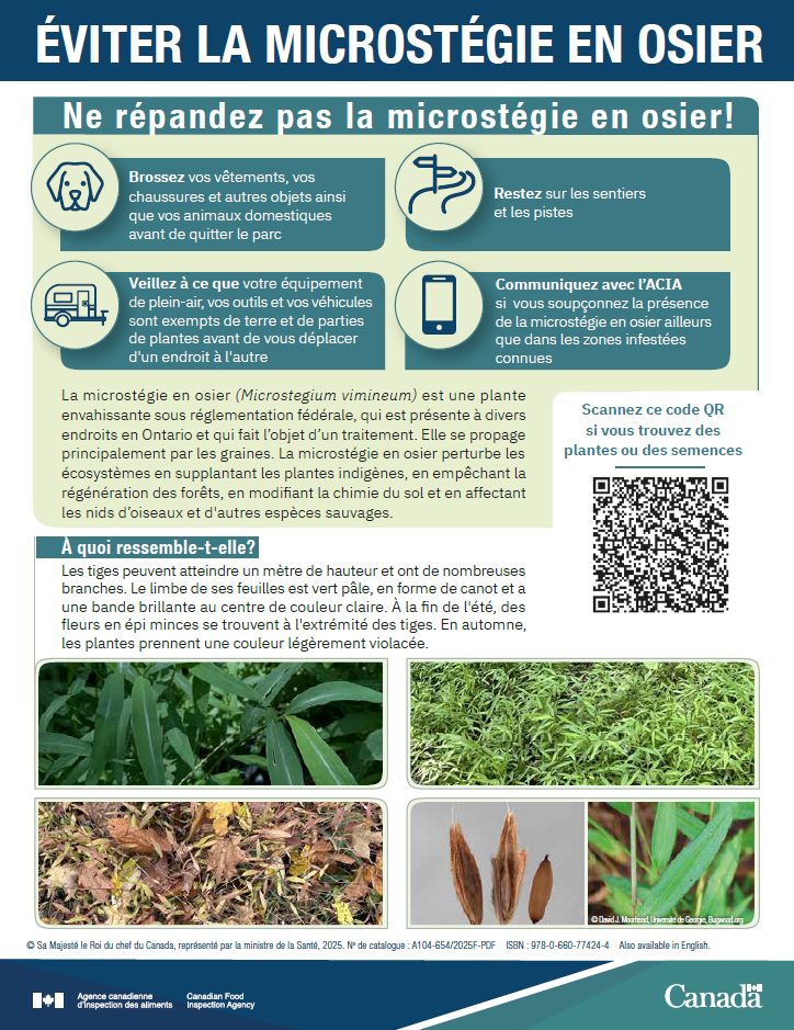 Affiche : Éviter la microstégie en osier. Description ci-dessous.