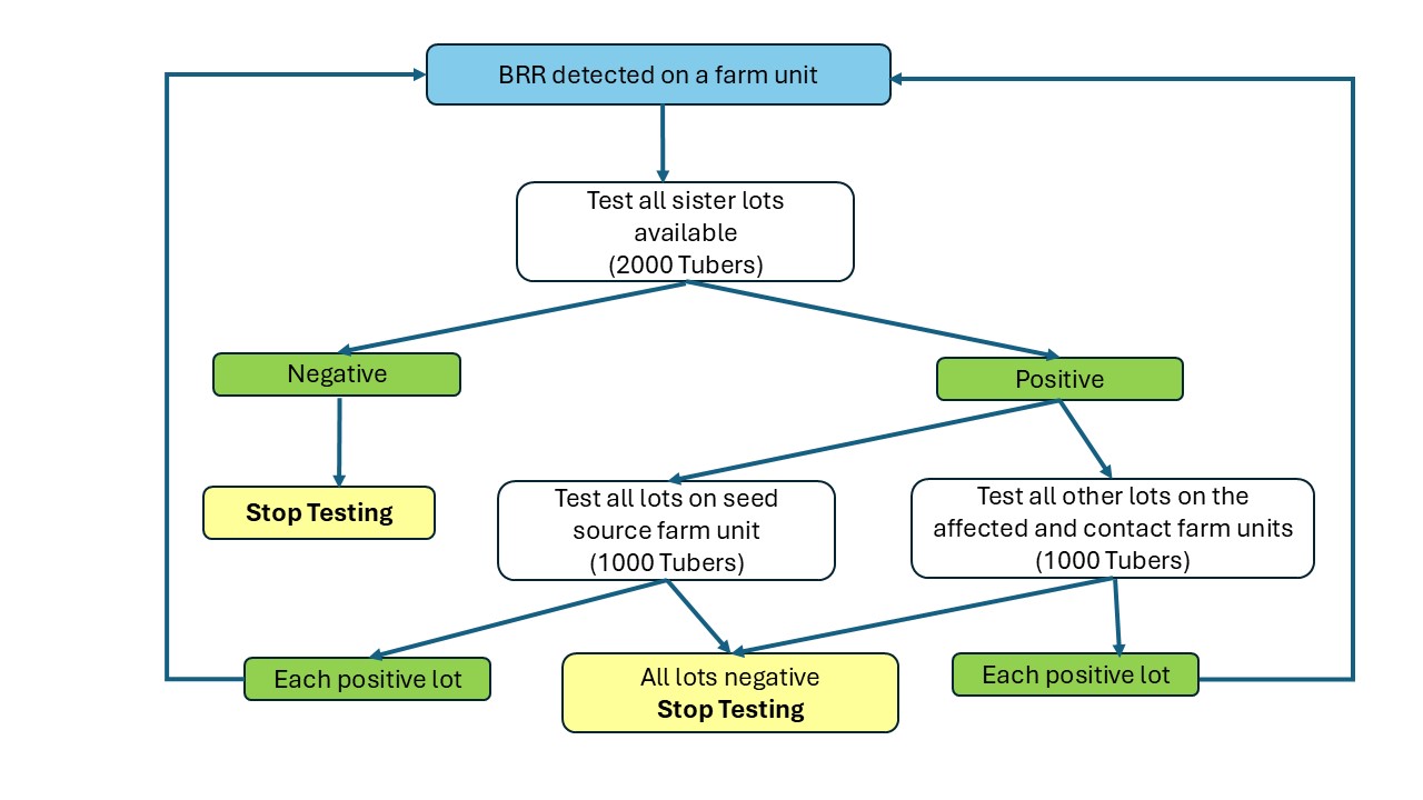 Diagram 1. Description follows.