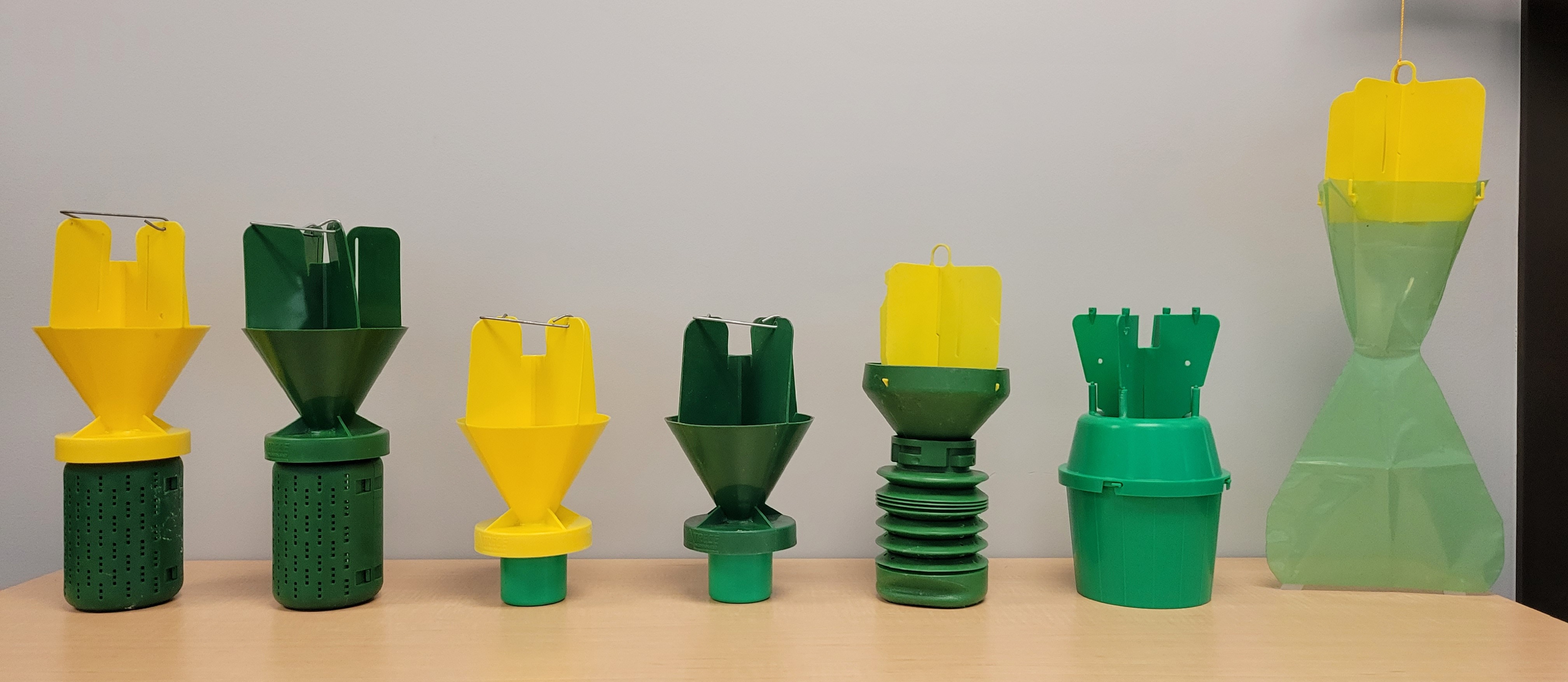 Japanese beetle traps