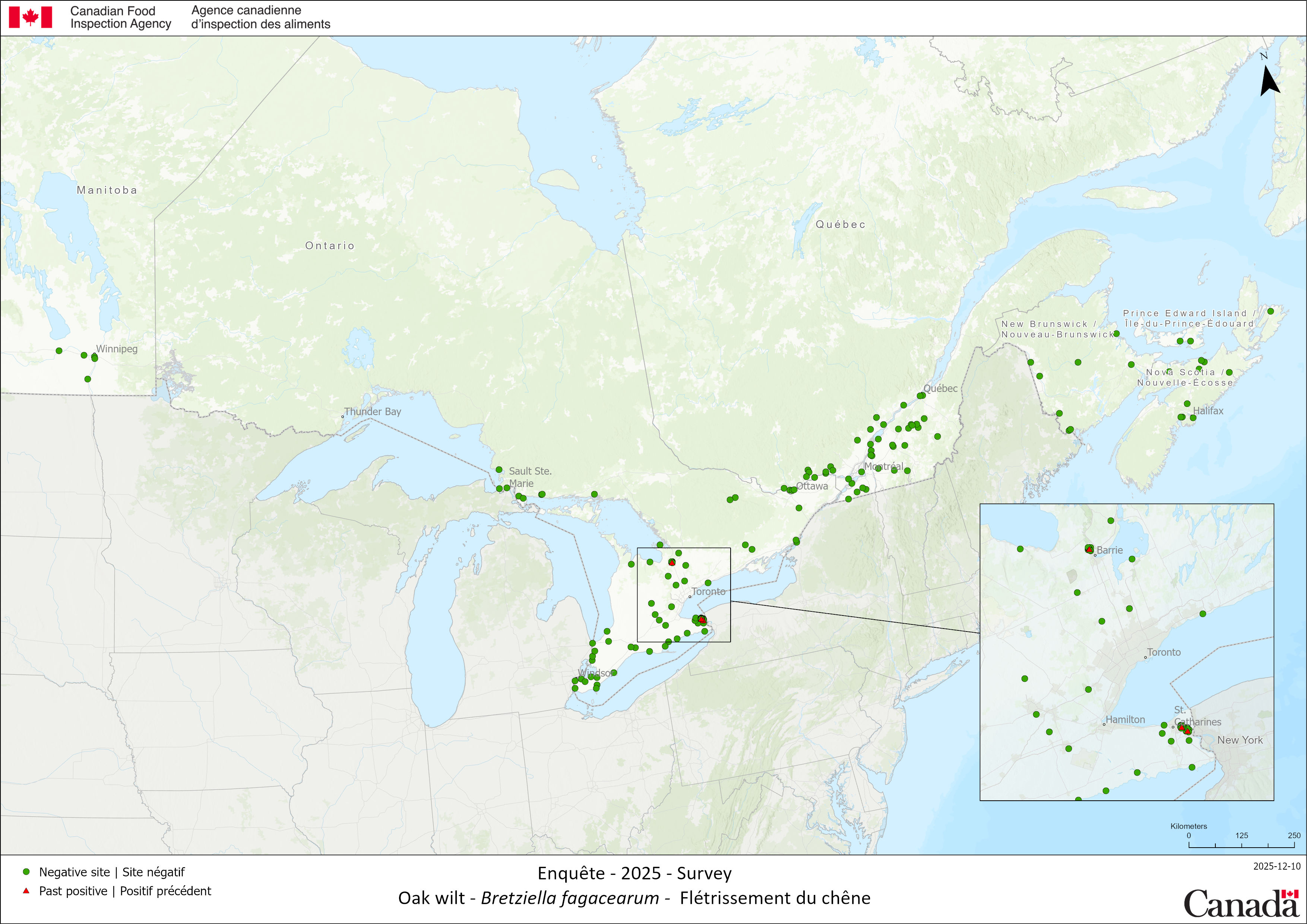 Résultats du sondage 2025 de Flétrissement du chêne