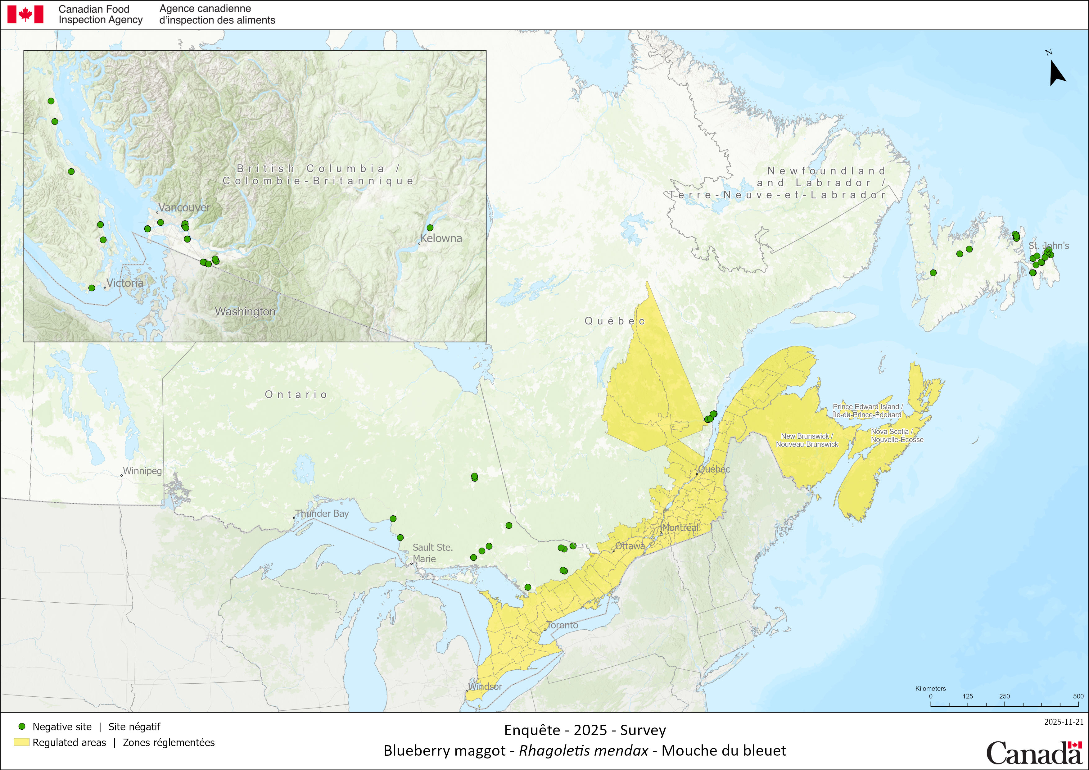 Résultats du sondage 2025 de Mouche du bleuet