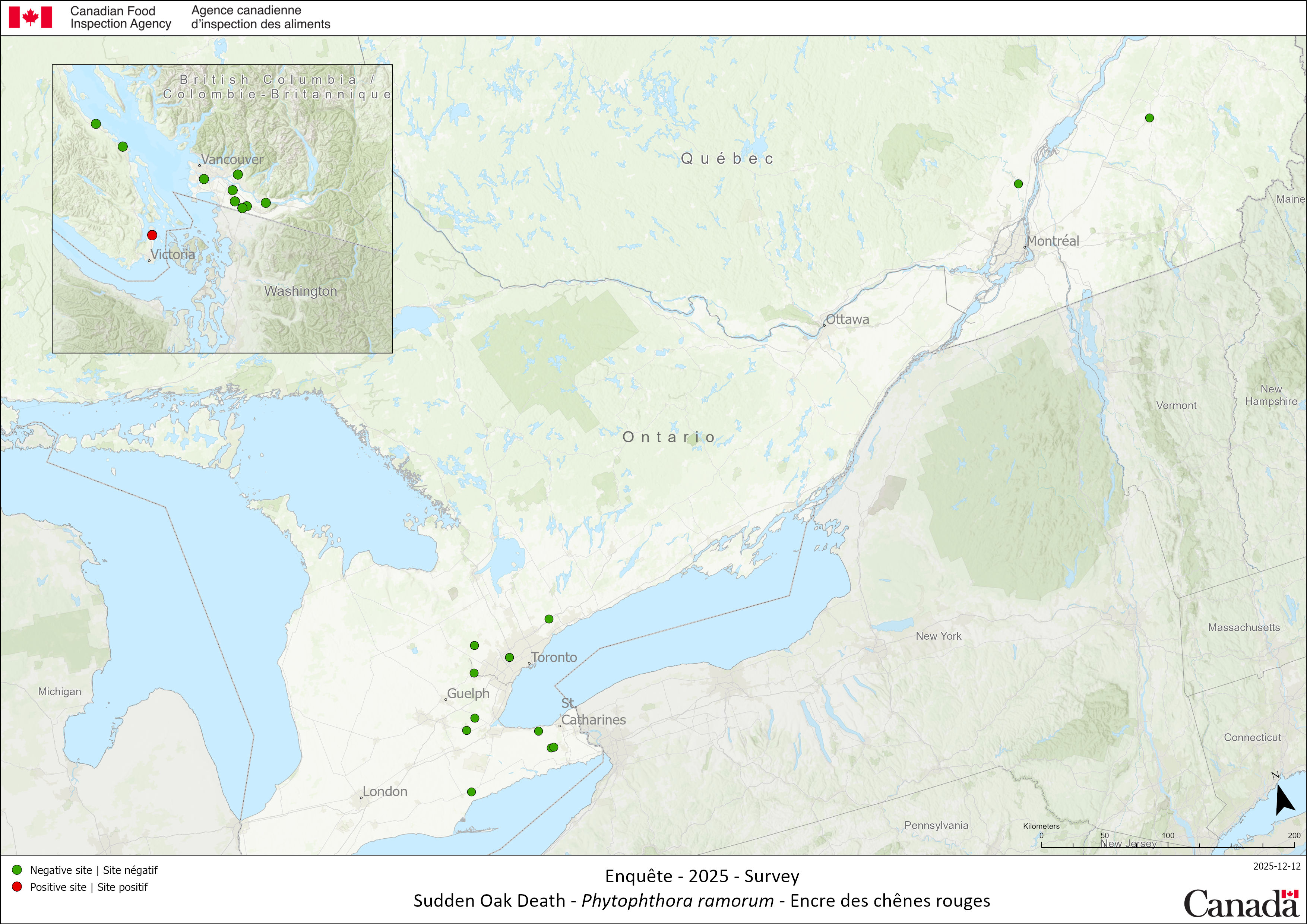 Résultats de l'enquête sur l'encre des chênes rouges de 2025
