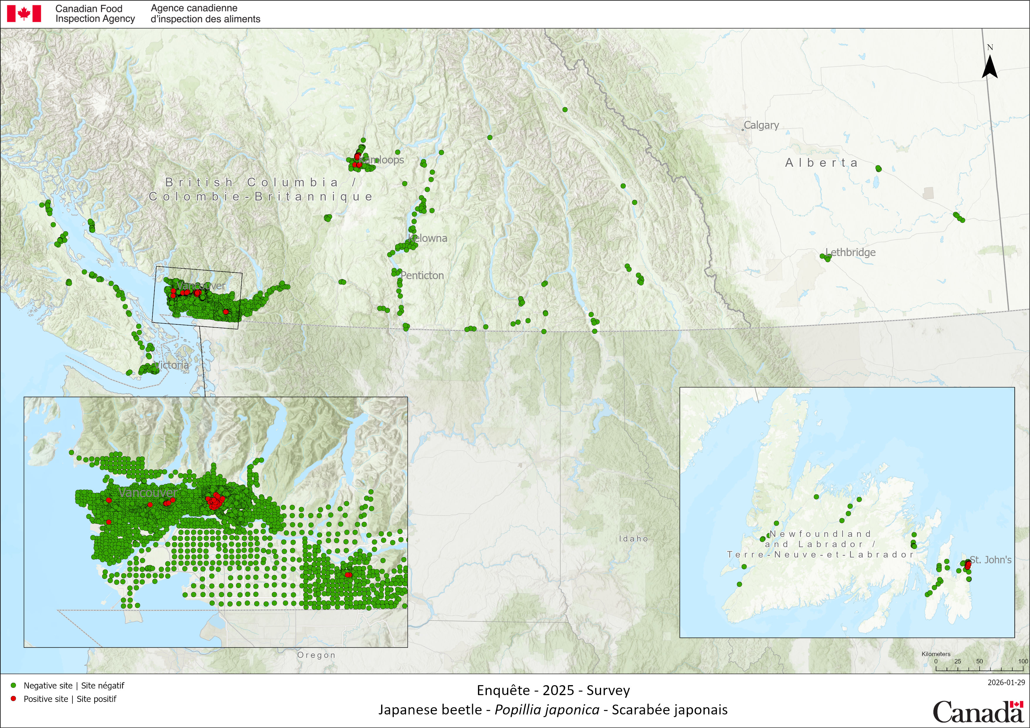 2025 Japanese beetle survey results