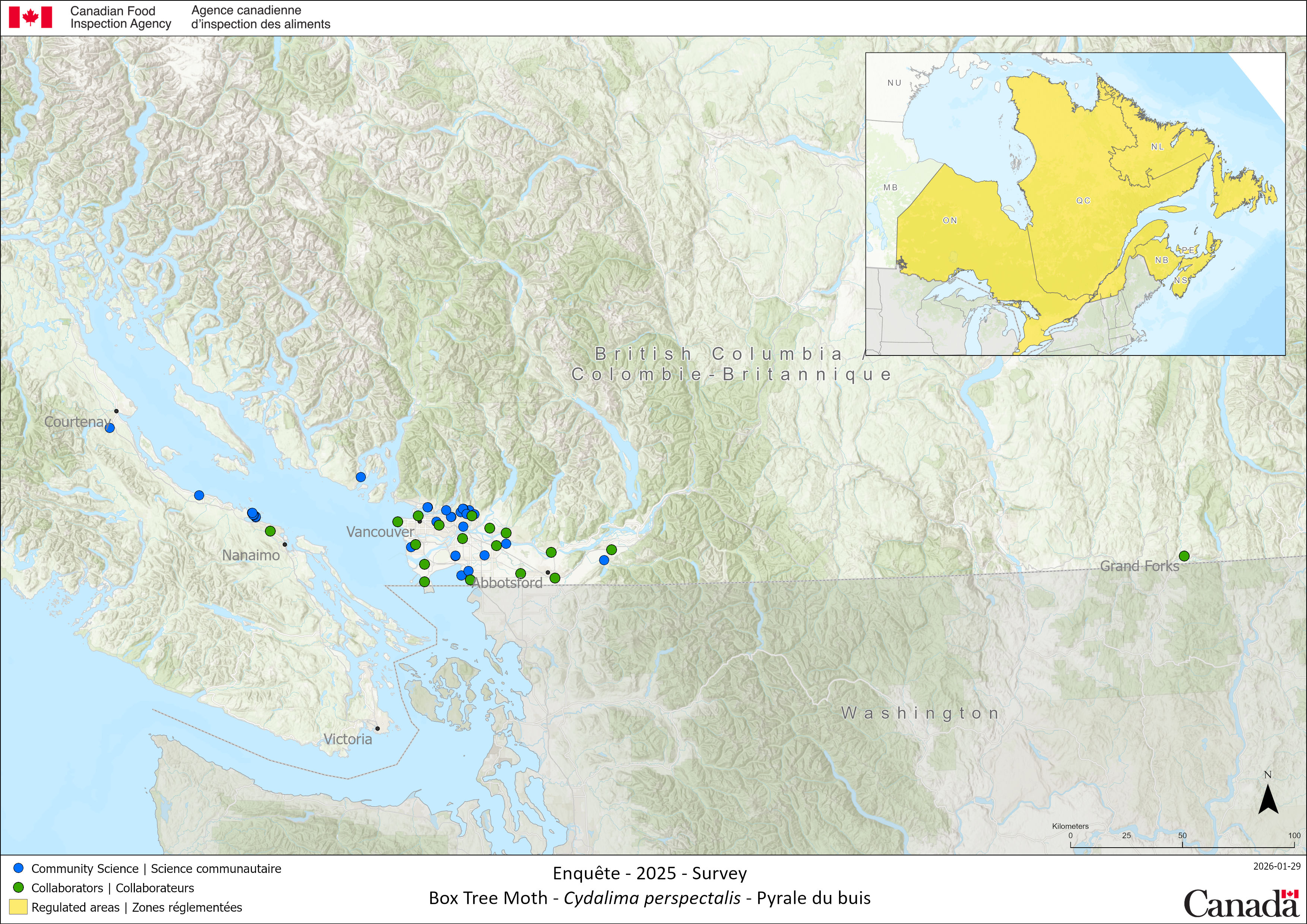 2025 Box tree moth survey results