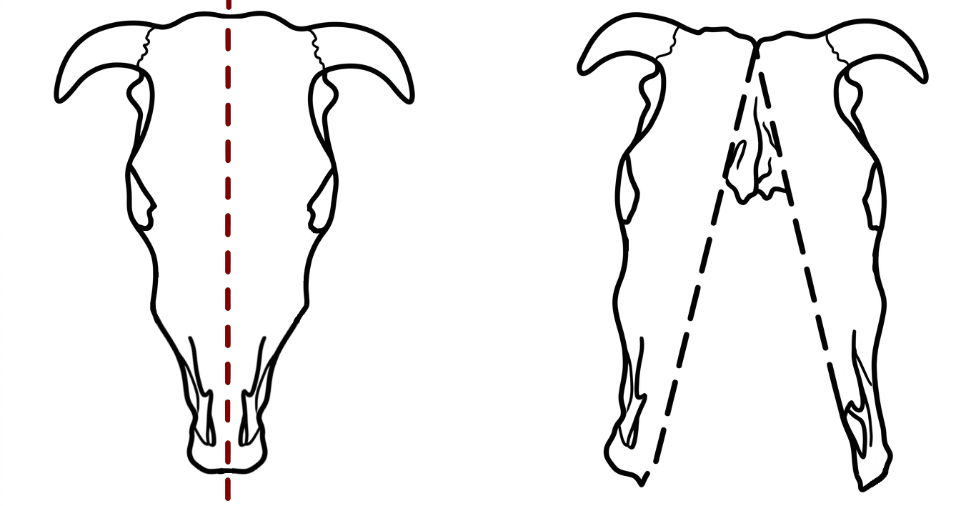 Figure B. Description ci-dessous.